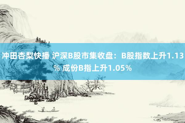 冲田杏梨快播 沪深B股市集收盘：B股指数上升1.13% 成份B指上升1.05%