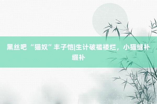 黑丝吧 “猫奴”丰子恺|生计破褴褛烂，小猫缝补缀补