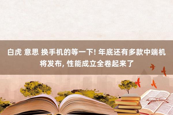 白虎 意思 换手机的等一下! 年底还有多款中端机将发布， 性能成立全卷起来了