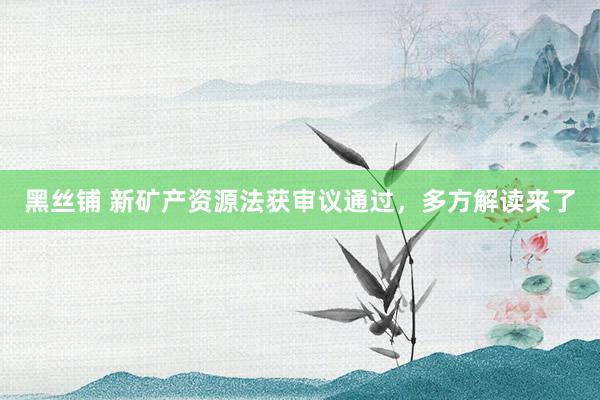 黑丝铺 新矿产资源法获审议通过，多方解读来了