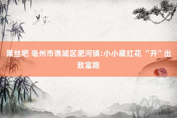 黑丝吧 亳州市谯城区淝河镇:小小藏红花 “开”出致富路