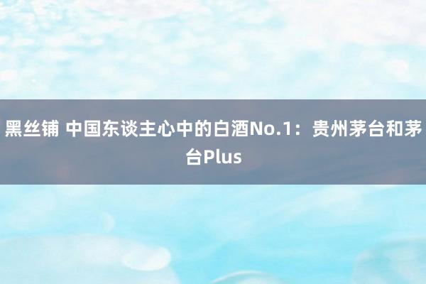 黑丝铺 中国东谈主心中的白酒No.1:贵州茅台和茅台Plus